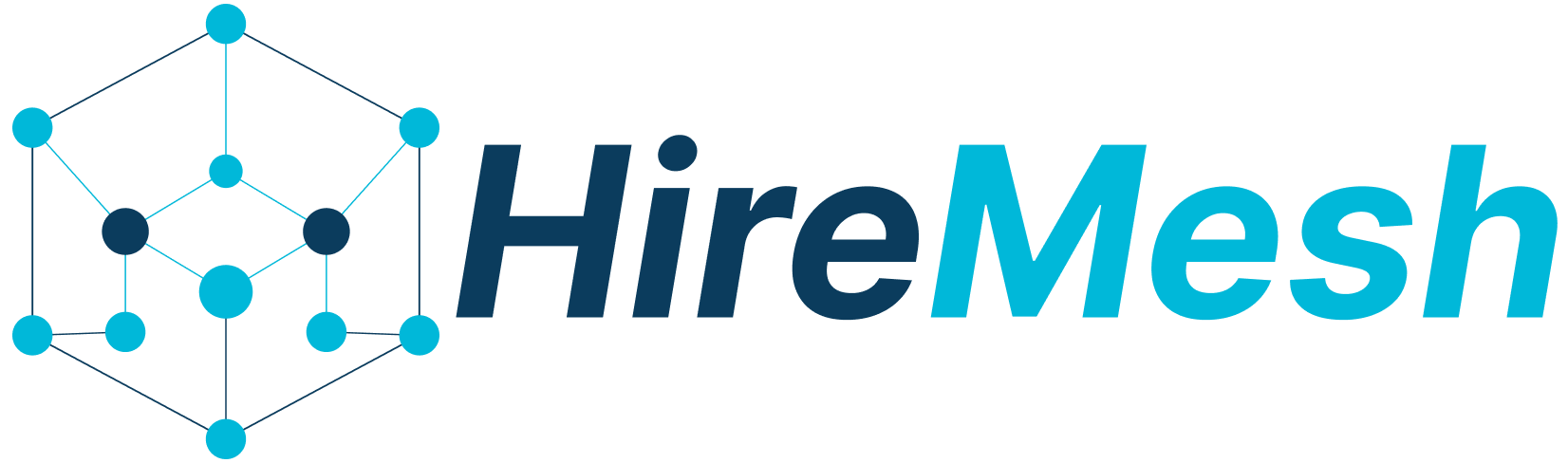 HireMesh Logo
